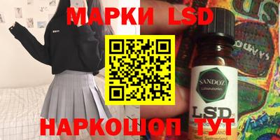 шишки Заволжье