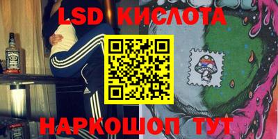шишки Заволжье