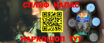 шишки Заволжье