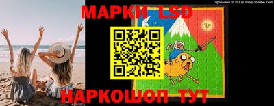 шишки Заволжье