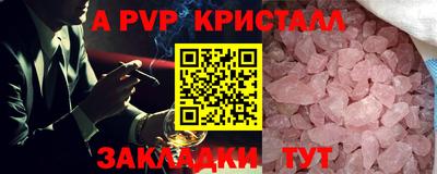 шишки Заволжье